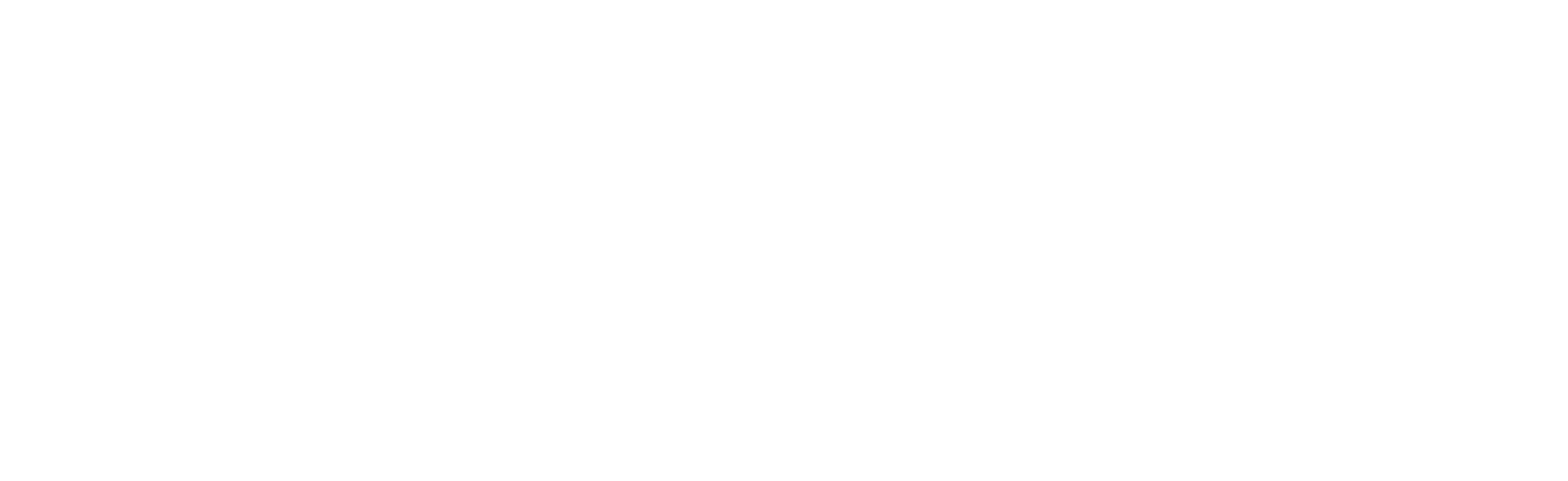 AI Pioneers